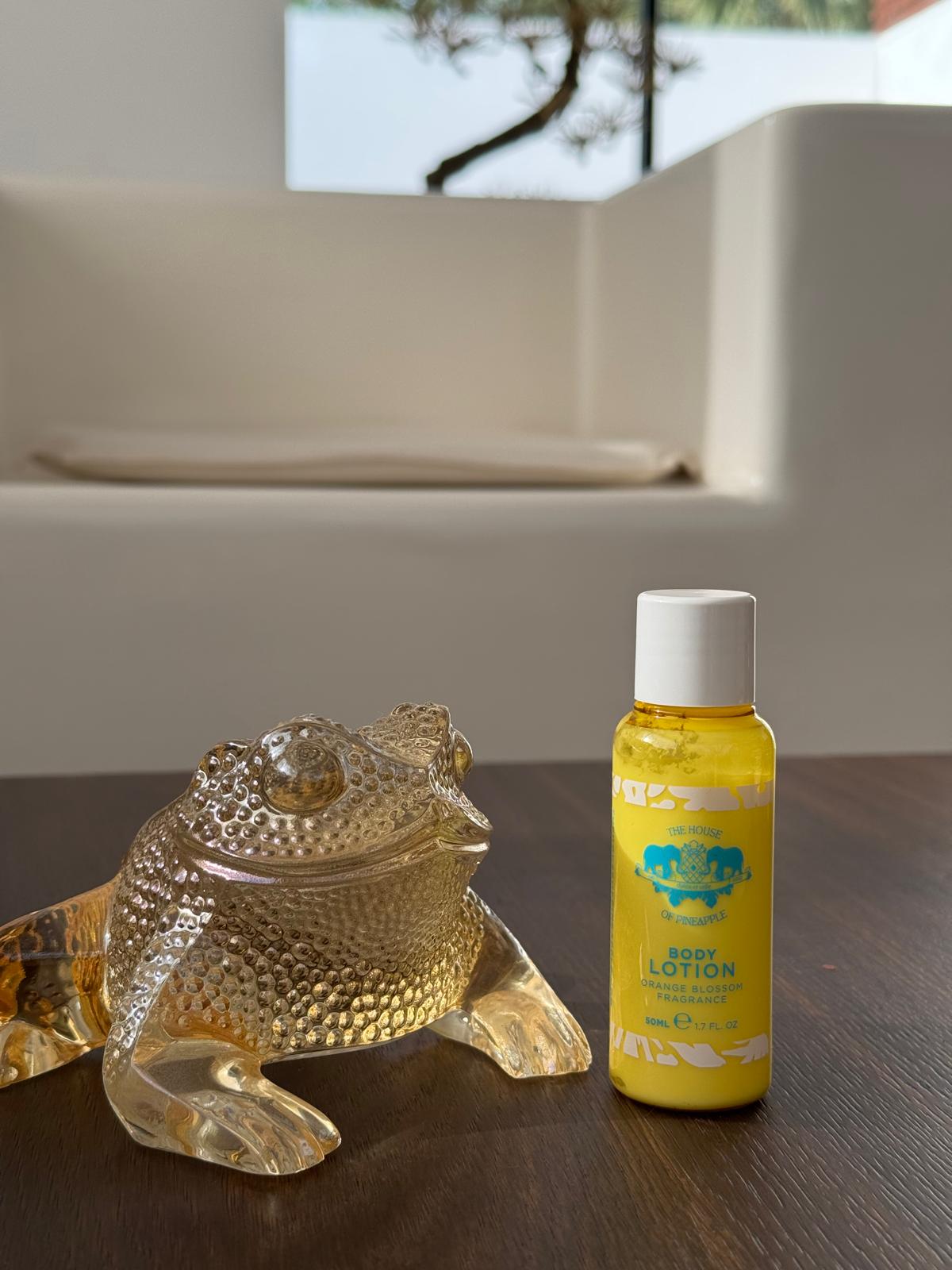 BODY LOTION Orange Blossom